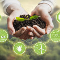 What does sustainability in operations mean?